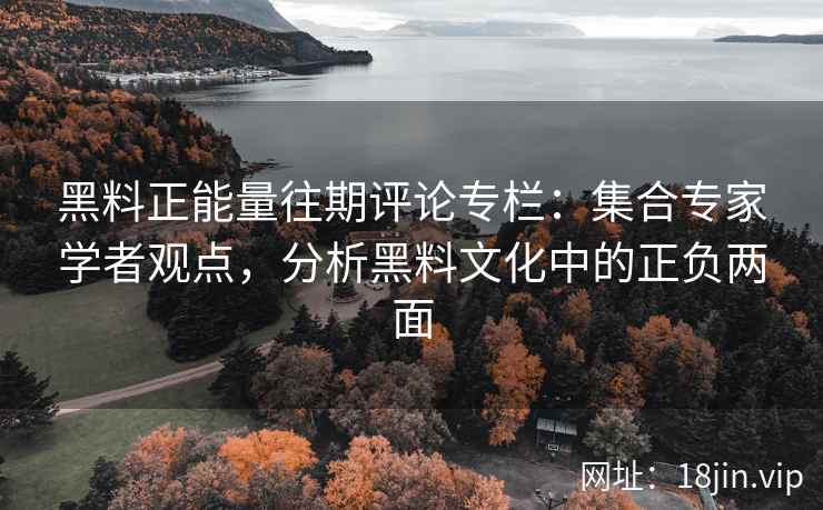 黑料正能量往期评论专栏：集合专家学者观点，分析黑料文化中的正负两面
