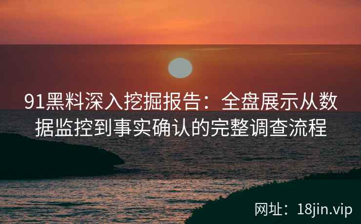 91黑料深入挖掘报告:全盘展示从数据监控到事实确认的完整调查流程 91黑料深入挖掘报告:全盘展示从数据监控到事实确认的完整调查流程