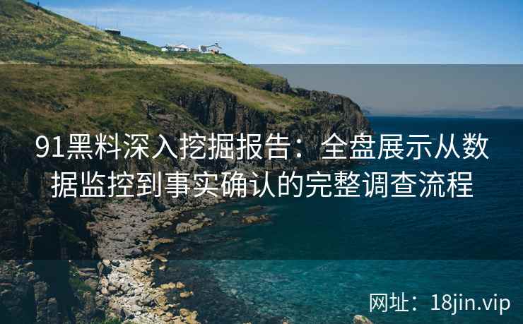 91黑料深入挖掘报告:全盘展示从数据监控到事实确认的完整调查流程 91黑料深入挖掘报告:全盘展示从数据监控到事实确认的完整调查流程