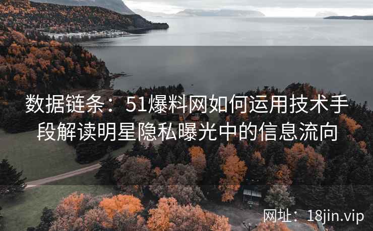 数据链条:51爆料网如何运用技术手段解读明星隐私曝光中的信息流向 数据链条:51爆料网如何运用技术手段解读明星隐私曝光中的信息流向