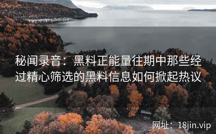 秘闻录音：黑料正能量往期中那些经过精心筛选的黑料信息如何掀起热议